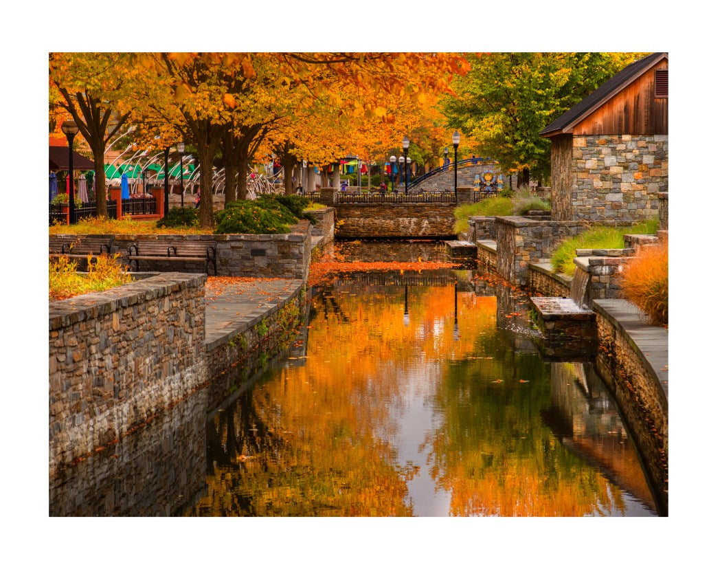 Carroll creek 5