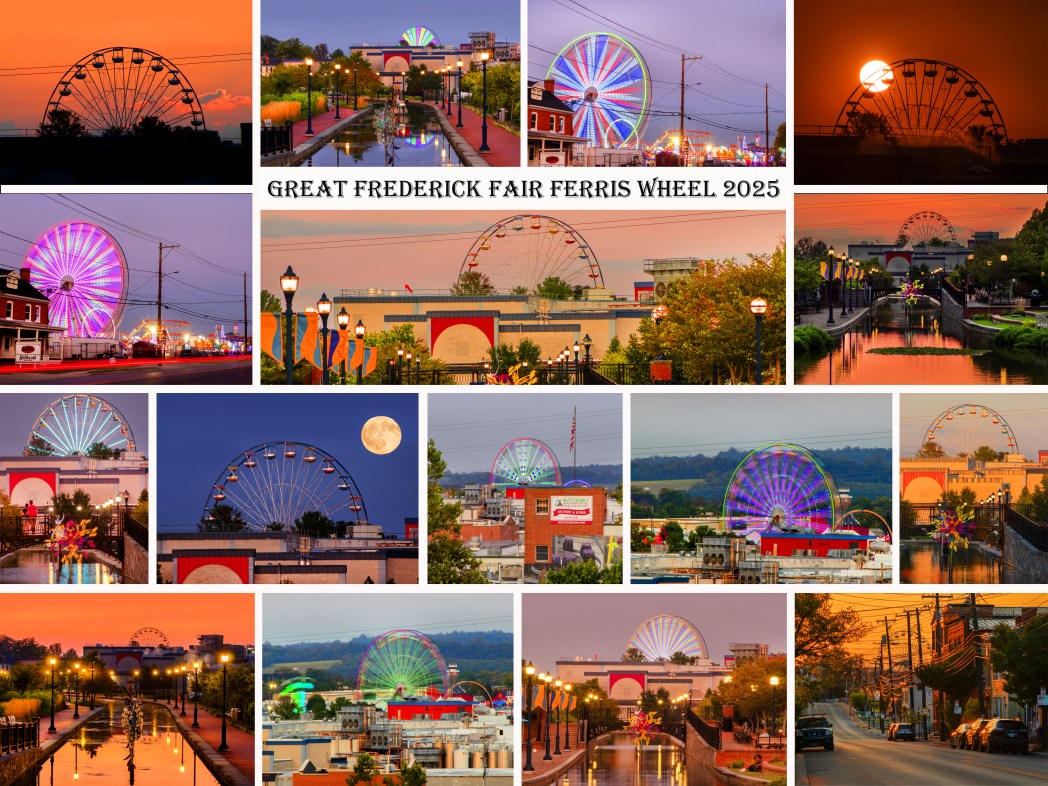 Ferris Wheel Collage Print