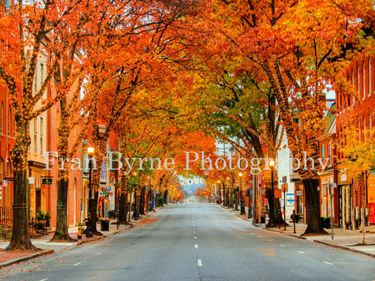 East Patrick Lights 1