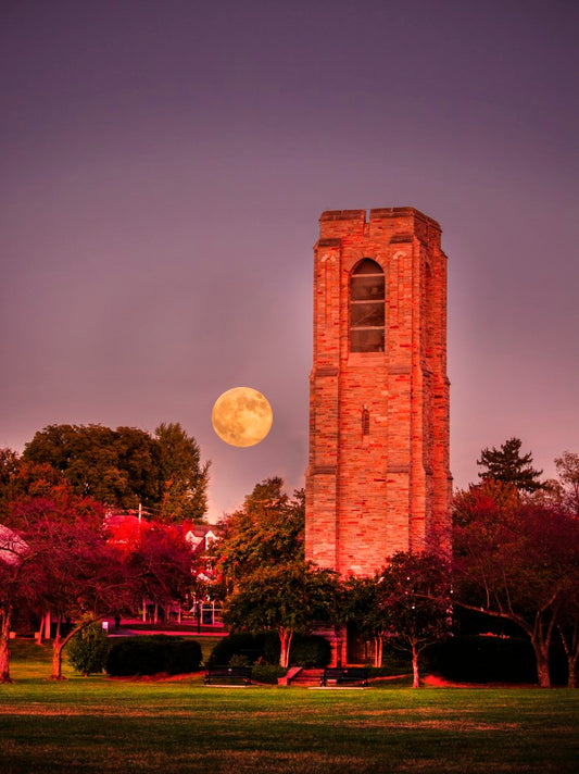 Moon and the tower