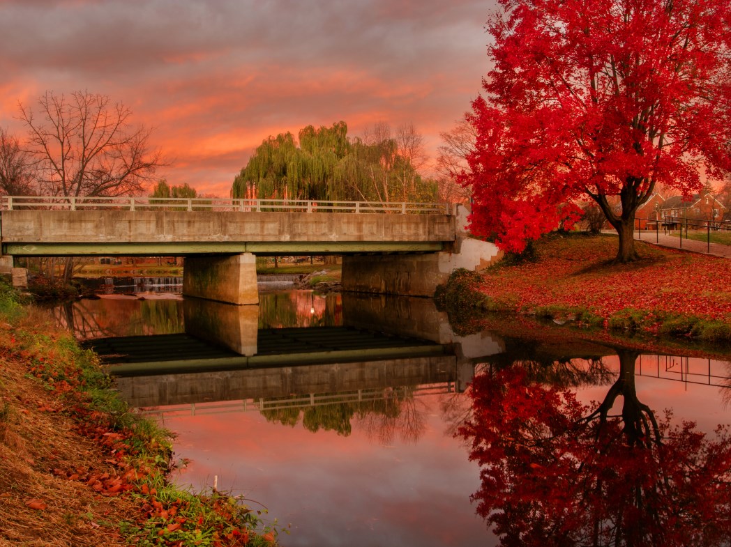 Red tree baker park landscape