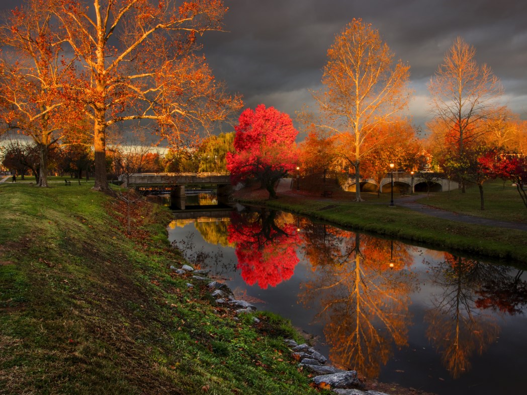 Red tree baker park 3