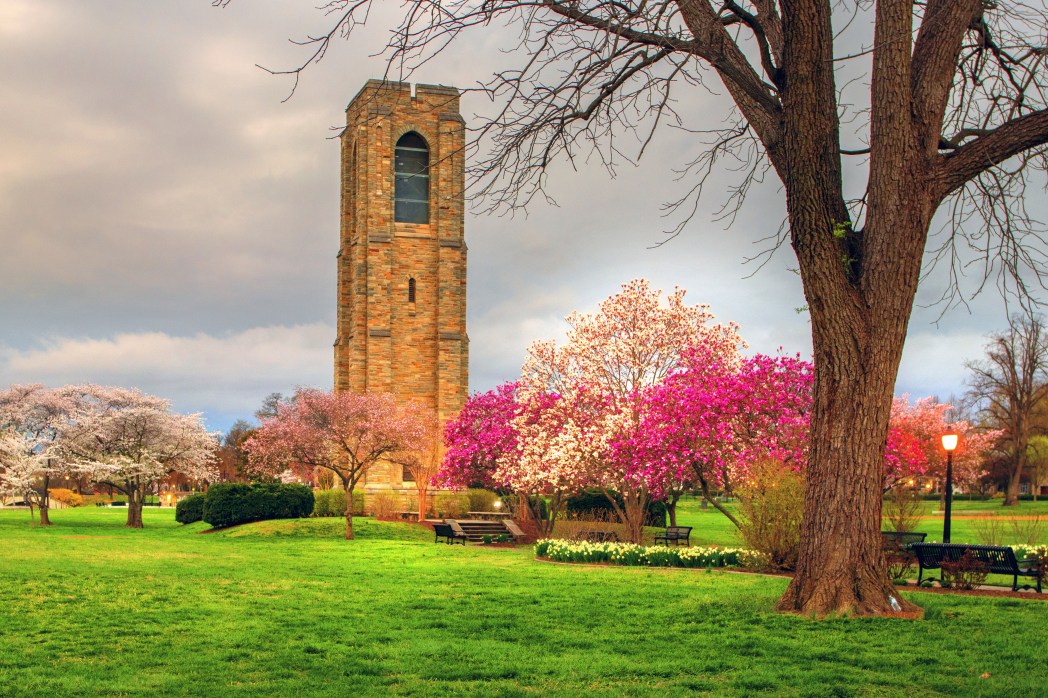 Baker park in spring