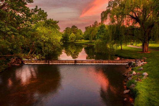 Weir and the willow