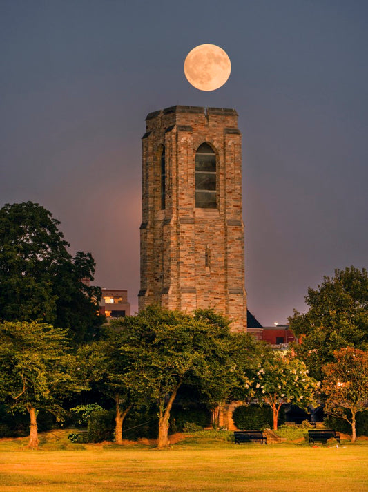 Moon and tower 2
